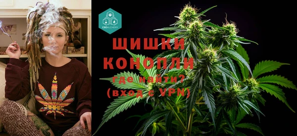 ГАЛЛЮЦИНОГЕННЫЕ ГРИБЫ Саяногорск