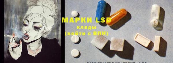 ECSTASY Сафоново